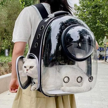 A white cat peers from the bubble window of a KittyNook Cat Co. Space Cat Backpack as its owner walks outside.